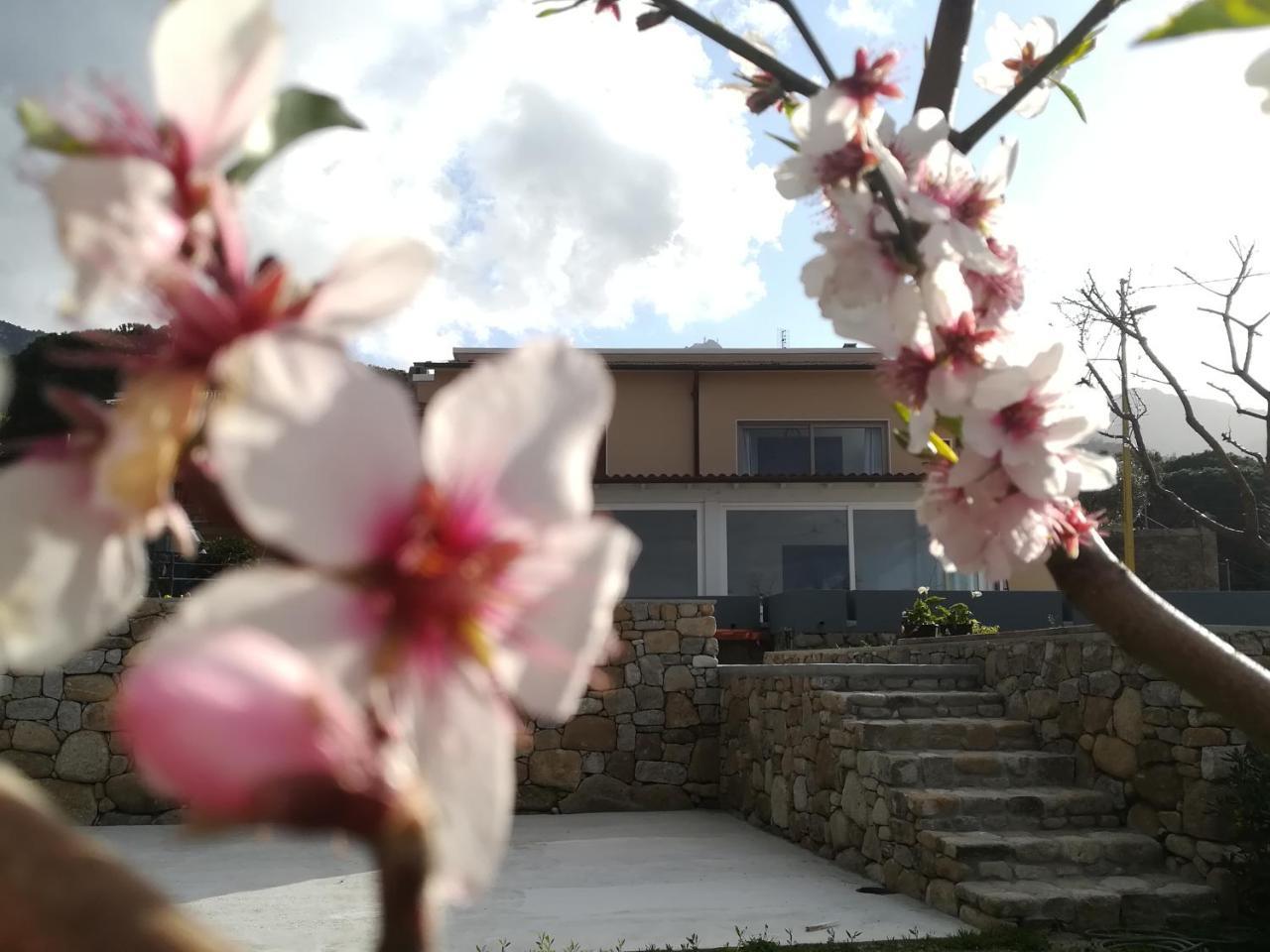 B&B Capo Al Piano Marciana Marina  Εξωτερικό φωτογραφία